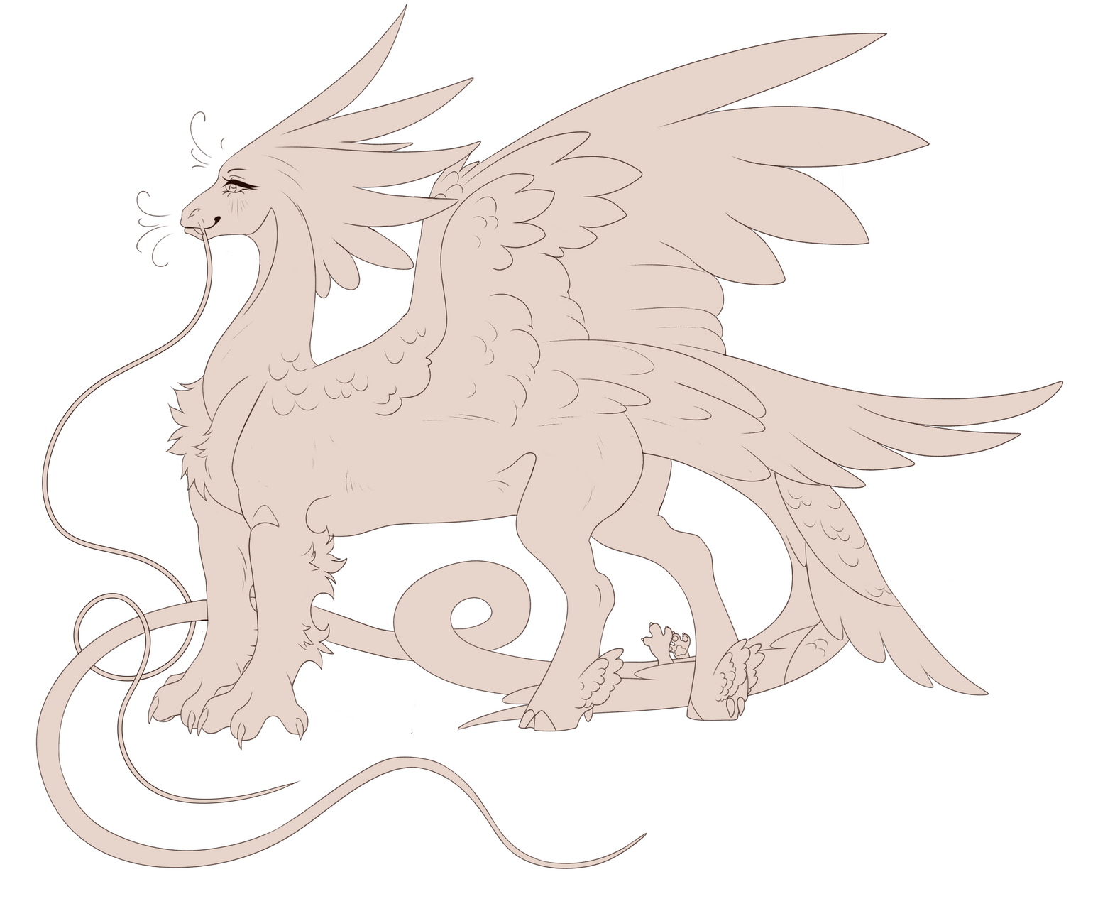 Light draco with open wings (male's feathers are a bit shorter)